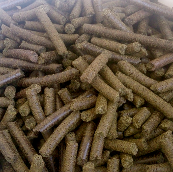 Hanf Leckerlies BIO 1kg